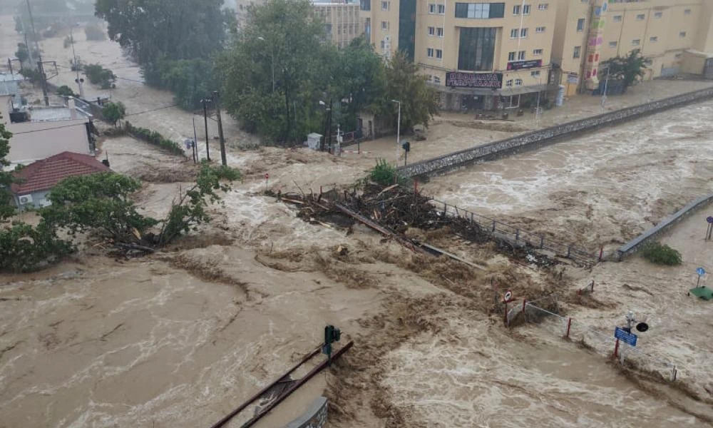 Η κακοκαιρία Daniel έδωσε την χαριστική βολή στην πρωτογενή παραγωγή! Ανυπολόγιστο το πλήγμα στην Αγροτική Οικονομία